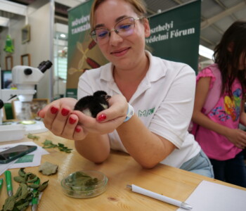 Fotó: Mizsei Károly/MMG KÁN Egyetemi Napok 2024