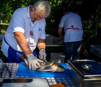 Fotó: Csatlós Norbert