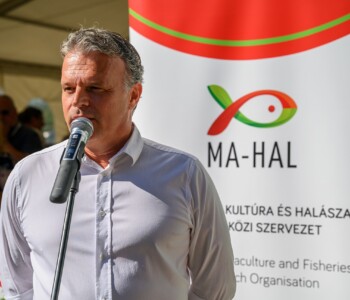 Fotó: Csatlós Norbert