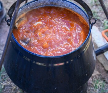 Fotó: Csatlós Norbert