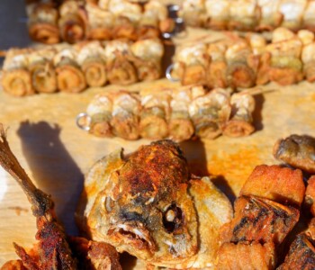 Fotó: Csatlós Norbert