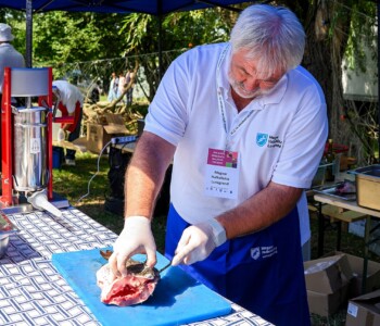 Fotó: Csatlós Norbert