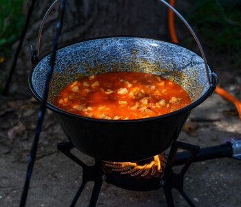 Fotó: Csatlós Norbert