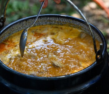 Fotó: Csatlós Norbert