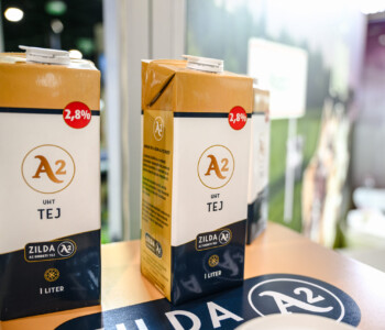 Fotó: MMG/Csatlós Norbert