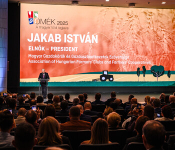 Fotó: MMG/Csatlós Norbert