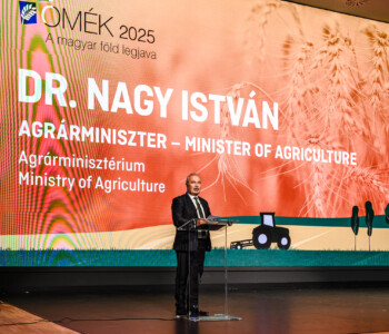 Fotó: MMG/Csatlós Norbert