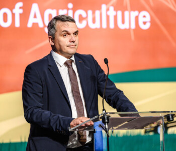 Fotó: MMG/Csatlós Norbert