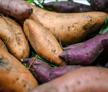 Fotó: MMG/Csatlós Norbert