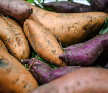 Fotó: MMG/Csatlós Norbert