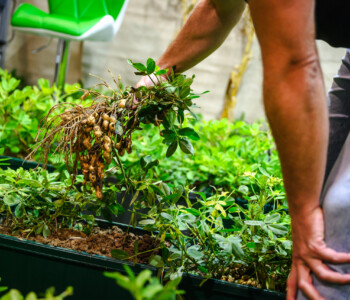 Fotó: MMG/Csatlós Norbert