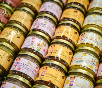 Fotó: MMG/Csatlós Norbert