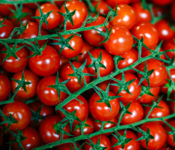 Fotó: MMG/Csatlós Norbert