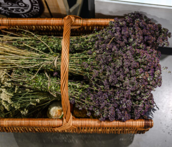 Fotó: MMG/Csatlós Norbert