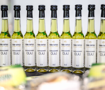 Fotó: MMG/Csatlós Norbert