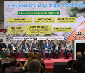 Fotó: Csatlós Norbert