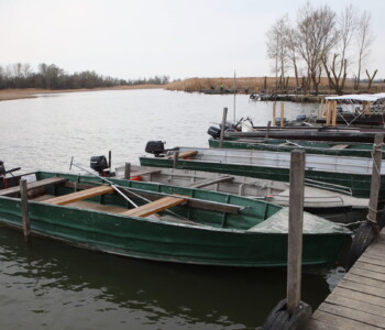 Fotó: MMG/Koncz János