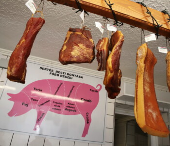 Fotó: MMG/Koncz János