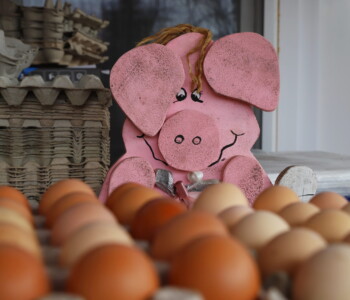 Fotó: MMG/Koncz János