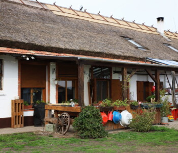 Fotó: MMG/Koncz János