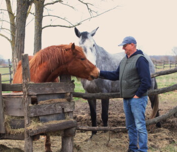 Fotó: MMG/Koncz János