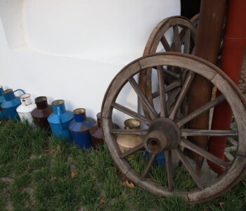 Fotó: MMG/Koncz János