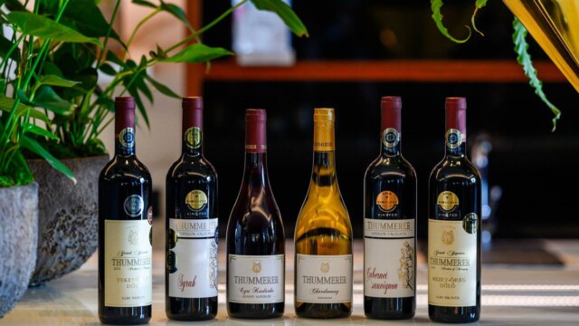 Fotó: MMG/Csatlós Norbert borok palackok