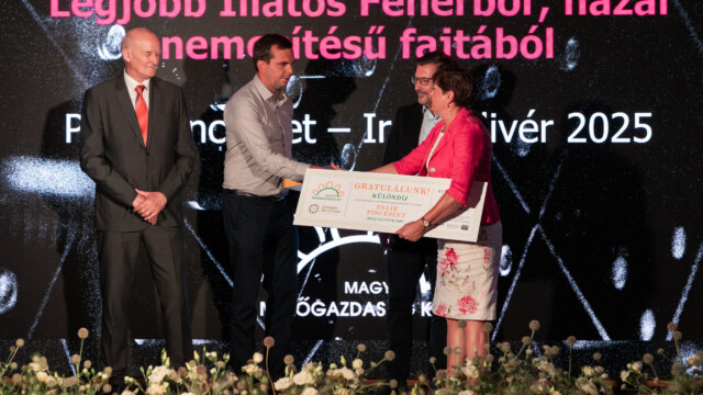 (Fotó: MMG Archív/Csatlós Norbert)