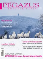 magazin kép