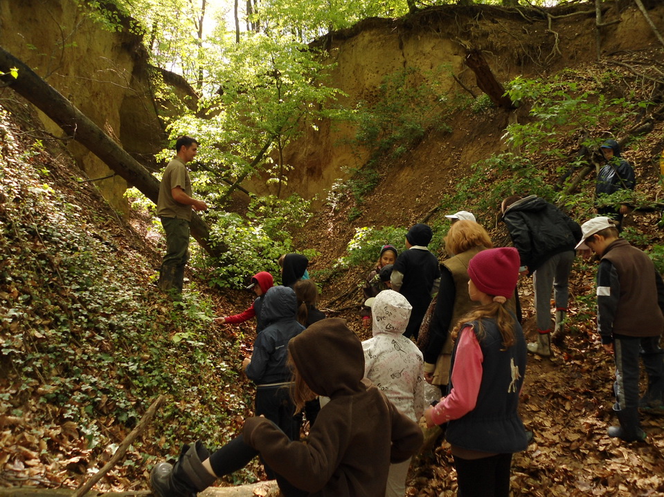 Vadasparki talajvizsgálat gyerekekkel hunyor