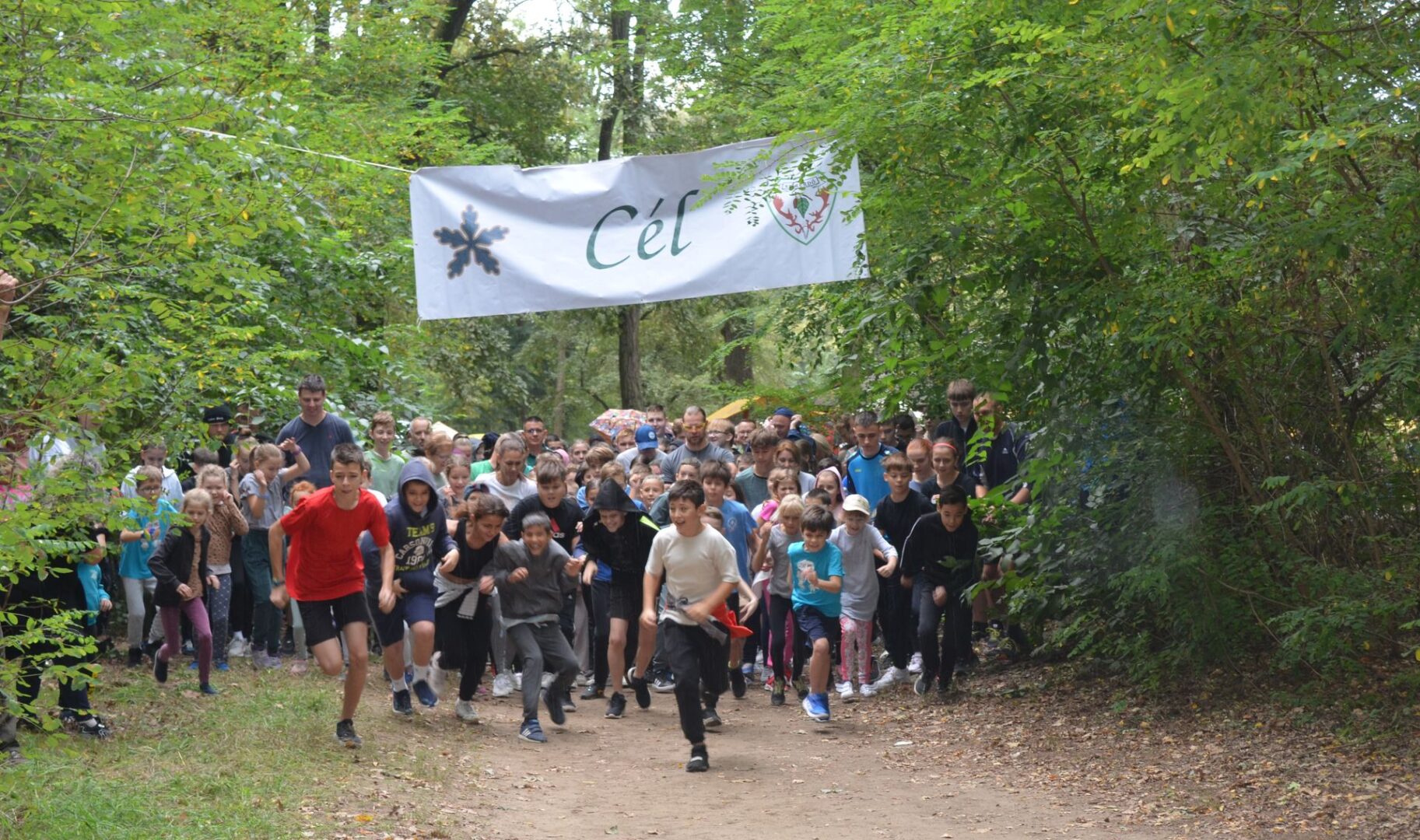 nyírerdő futás futónap