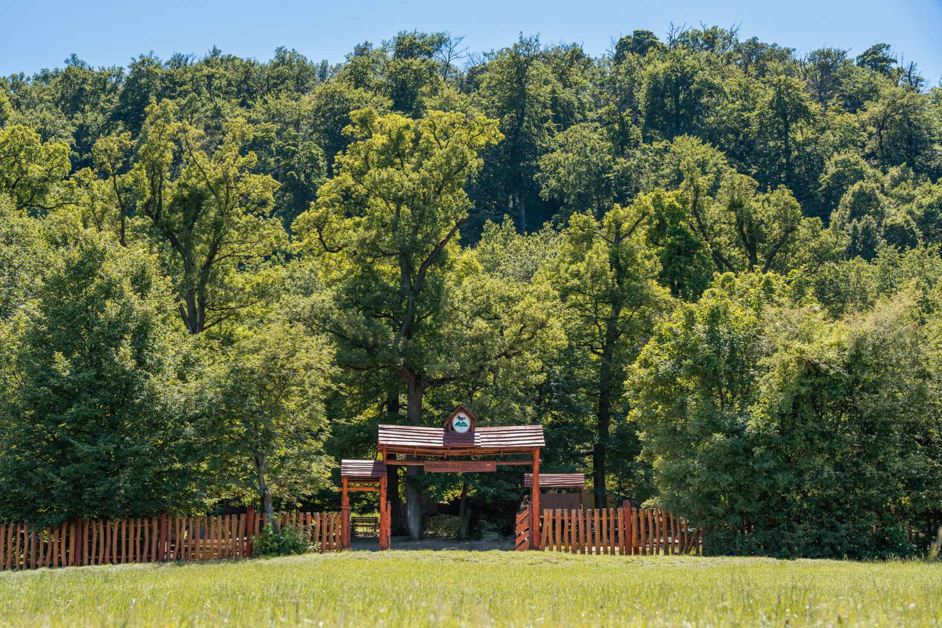 Madas László Erdészeti Erdei Iskola