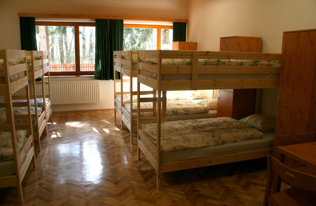 Vajda János Erdészeti Erdei Iskola