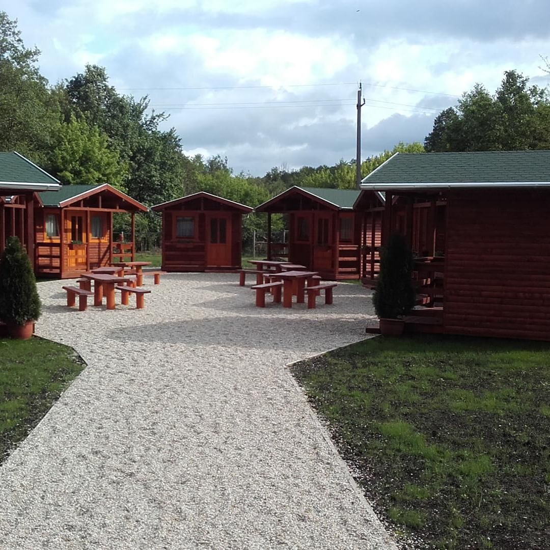 Vadász Göri Erdészeti Erdei Iskola