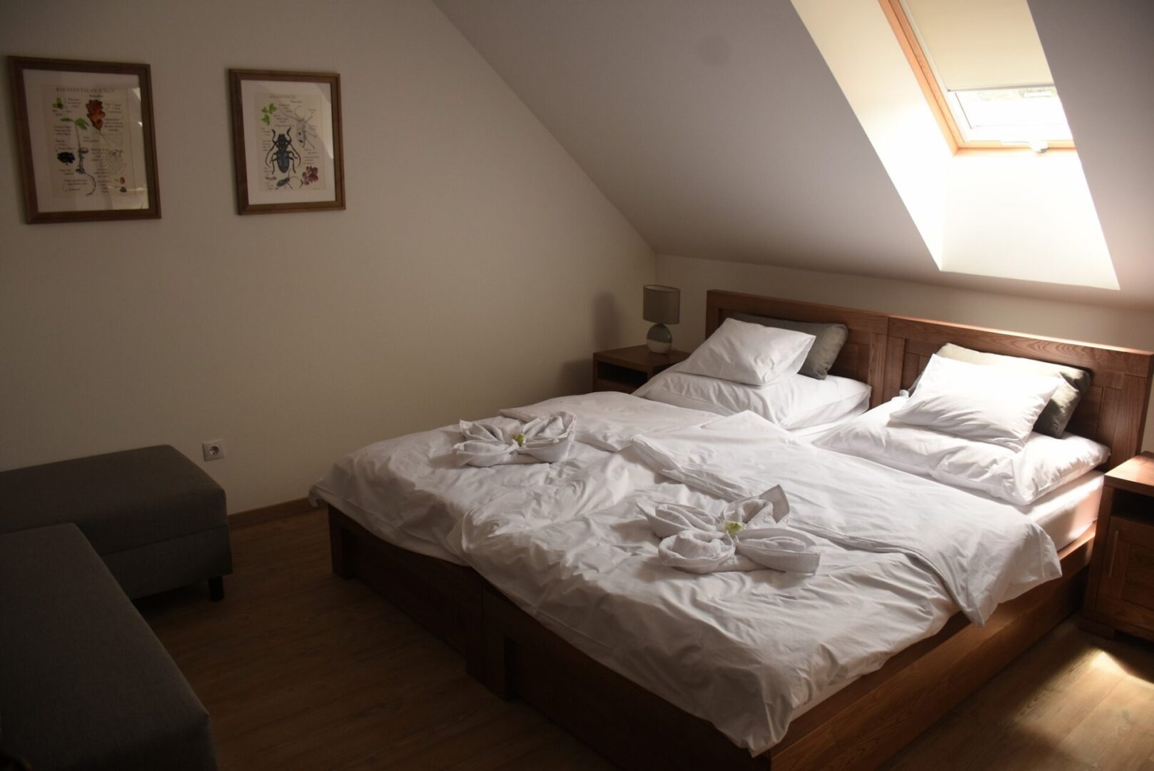 Gróf Esterházy Móric Ökoturisztikai Központ és Turistaház