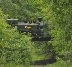 2021 – A Kerülő-Duna hídon, Gemencen Fotó: Badari-Csiszár Angéla