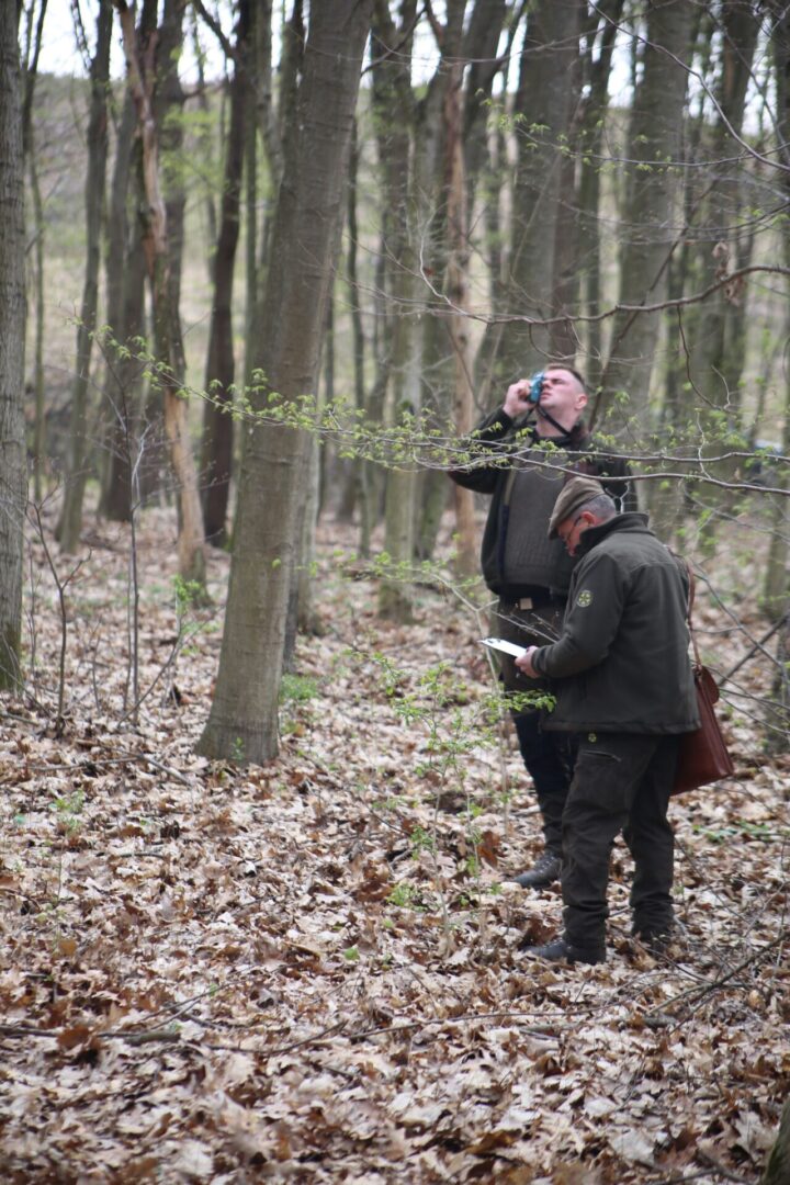 IMG_4708a északerdő