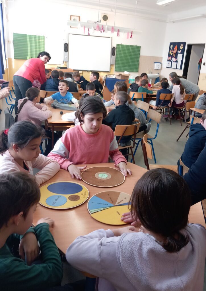 Iskolában az erdő2 nyírerdő