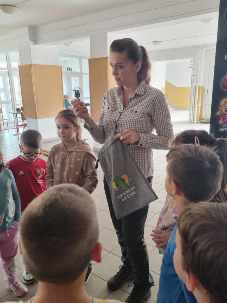 Iskolában az erdő3 nyírerdő