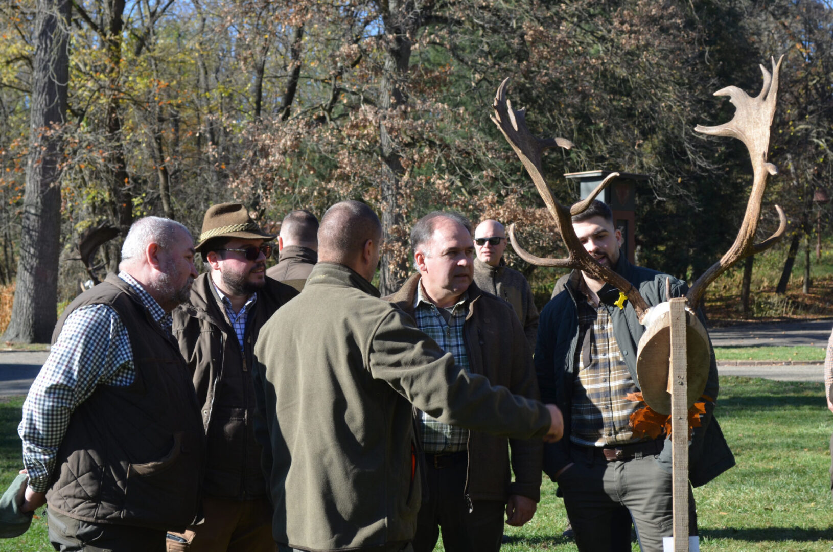 Dámszezon Gúthon: 85 százalék az érmes arány