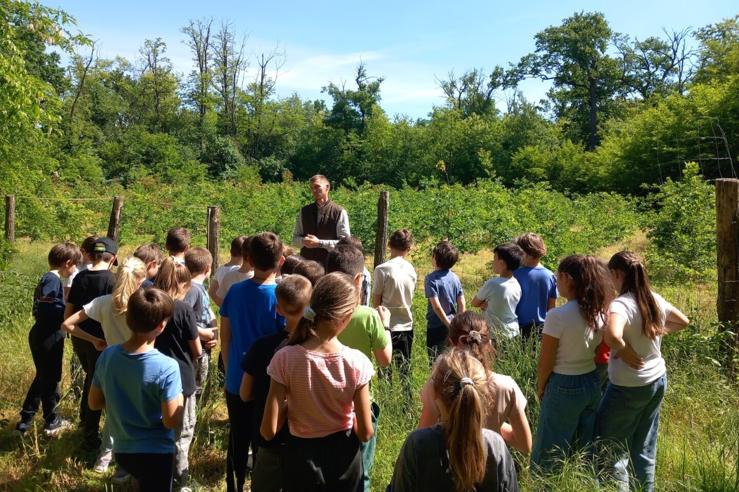 Több ezer óvodás és iskolás gyermek járt a debreceni erdei iskolában 2025-ben