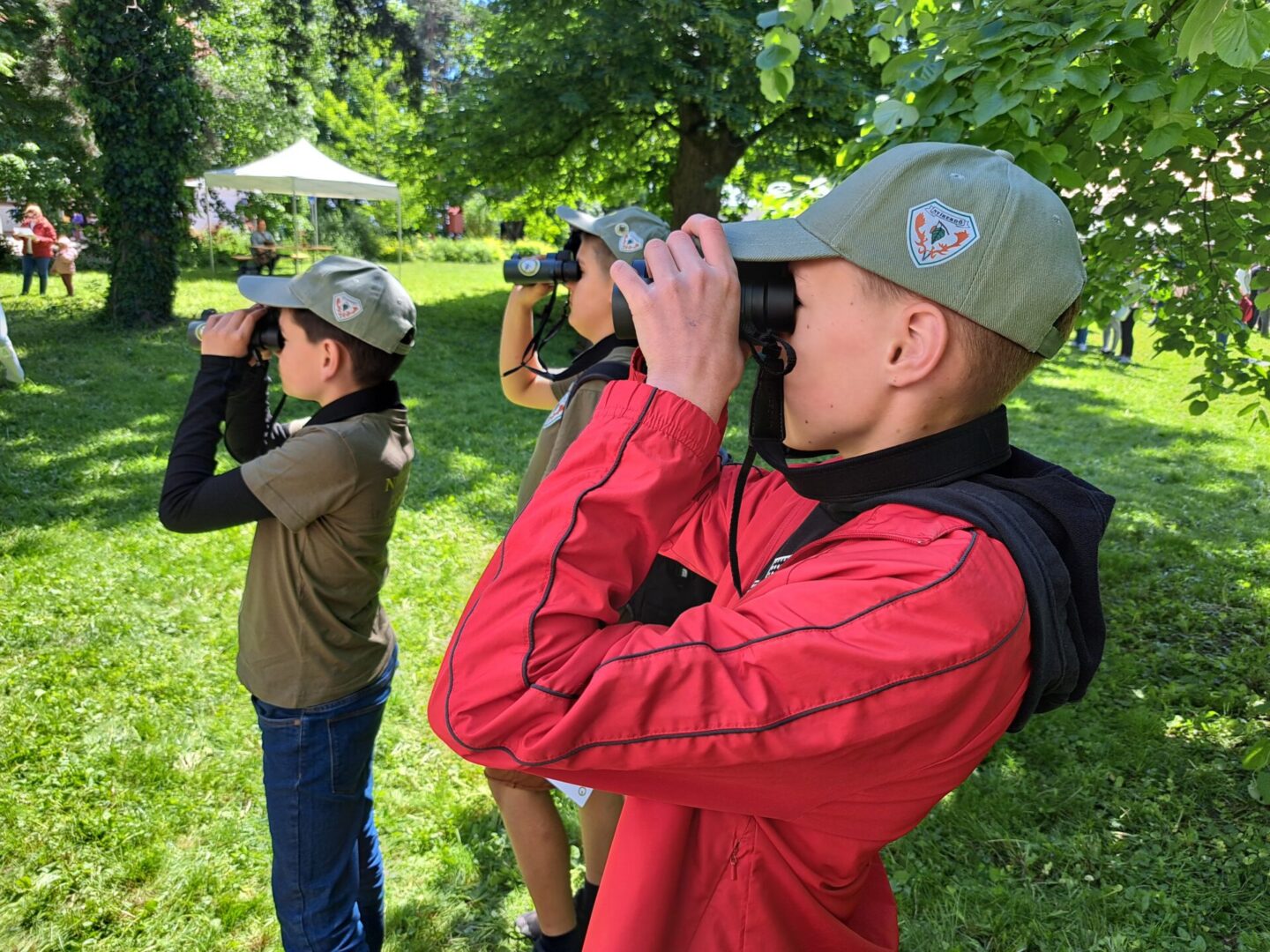 Több mint 11 ezer látogató a nyíregyházi erdei iskolában