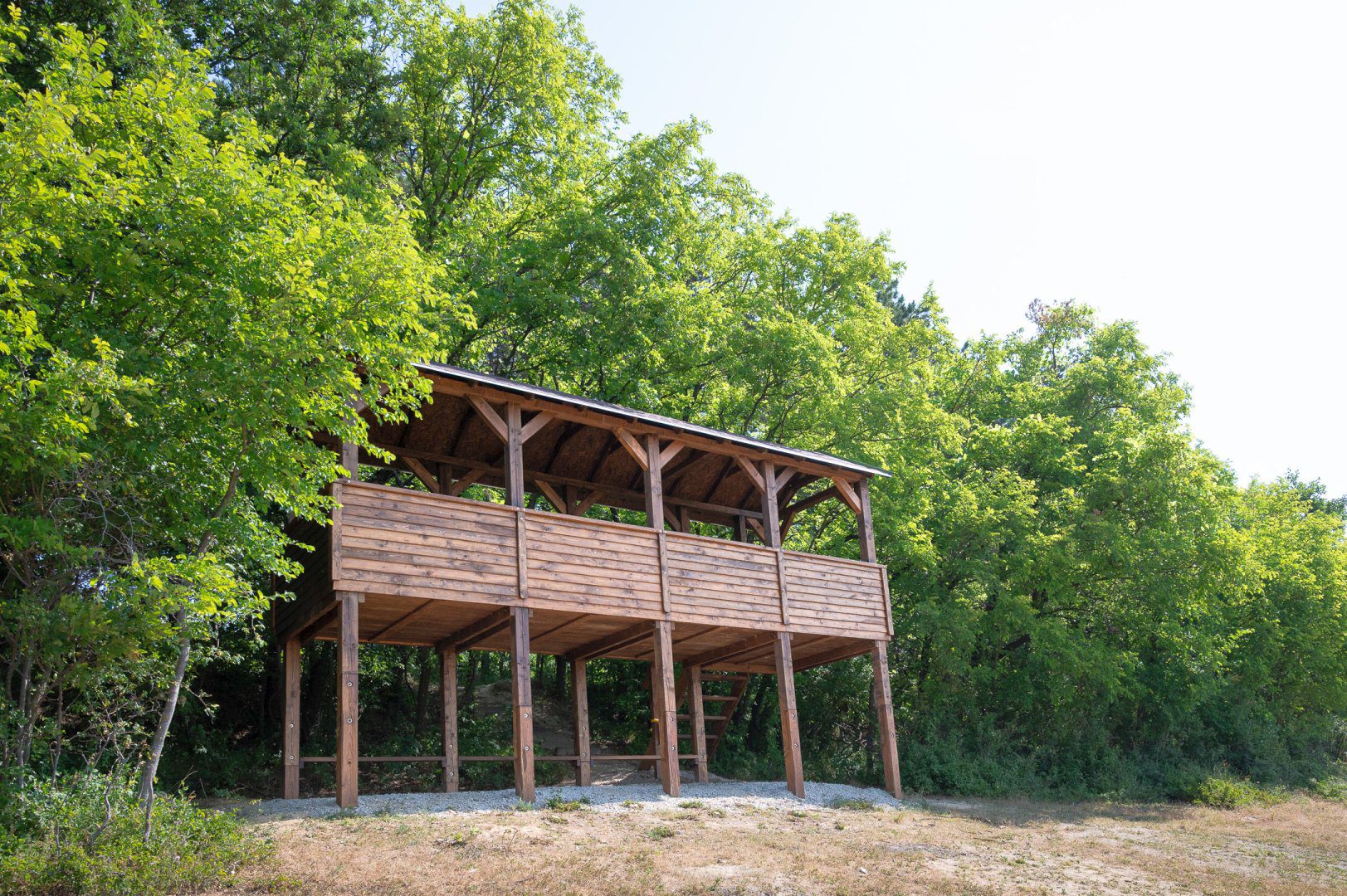 Évet értékelt a Pilisi Parkerdő: habitatfák, szentélyerdő, irányított turizmus…